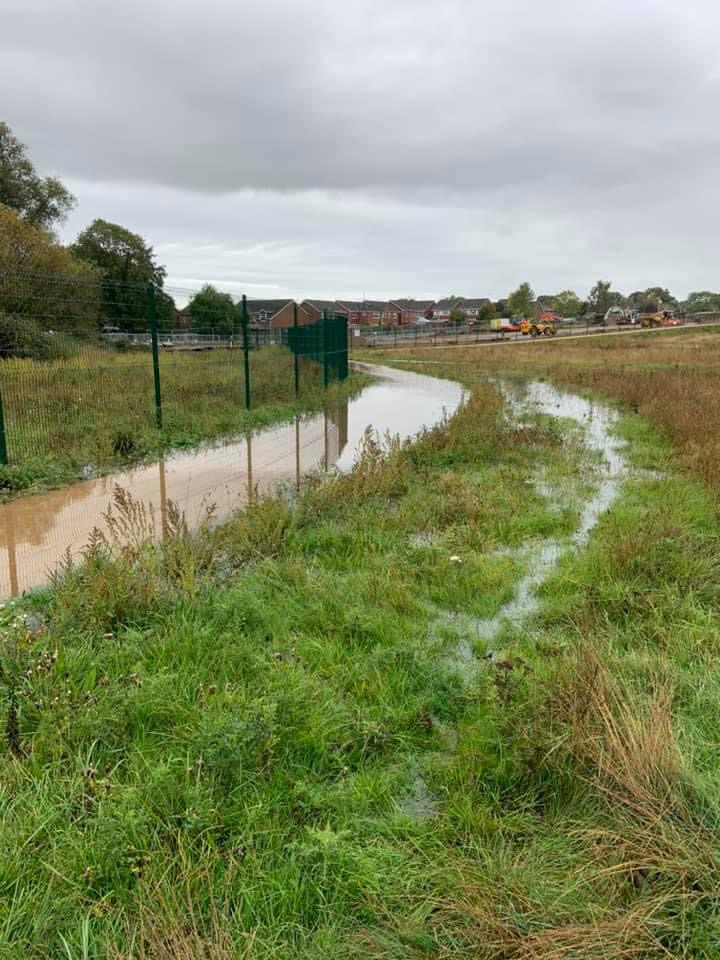 BFR Neesletter 21.10.20