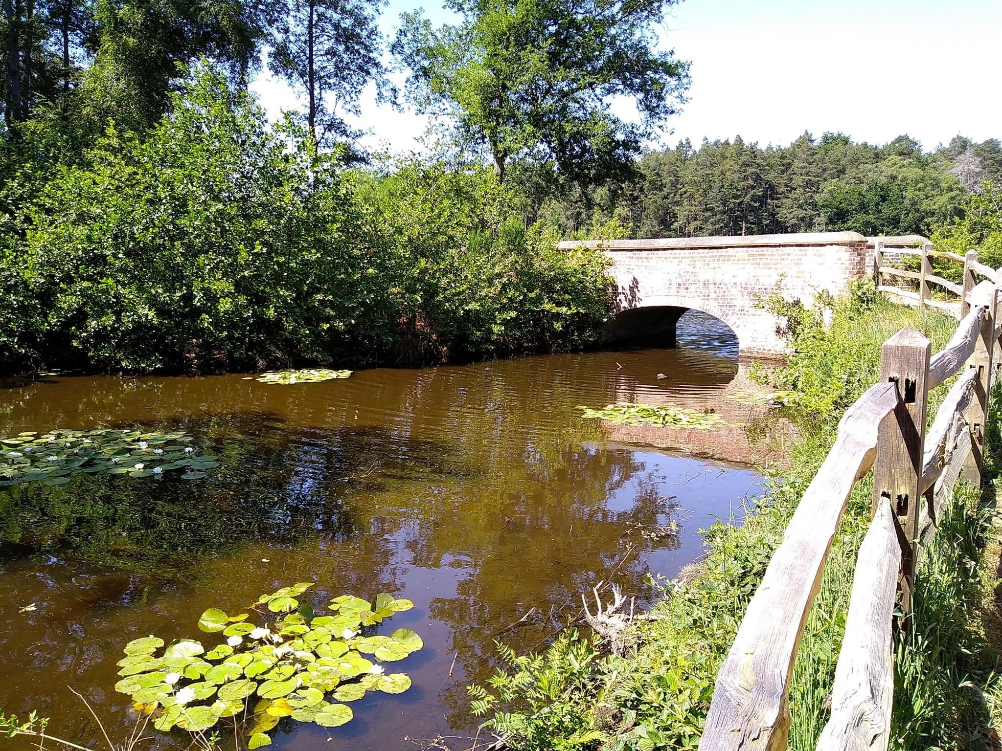 BFR Newsletter 23.09.20