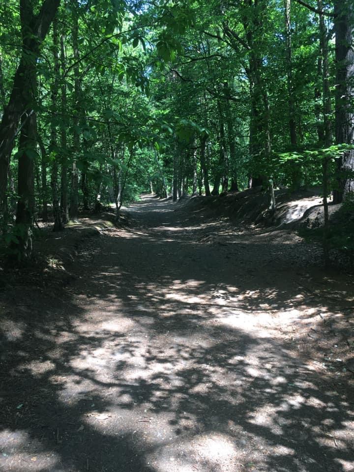 BFR Newsletter 21.07.20