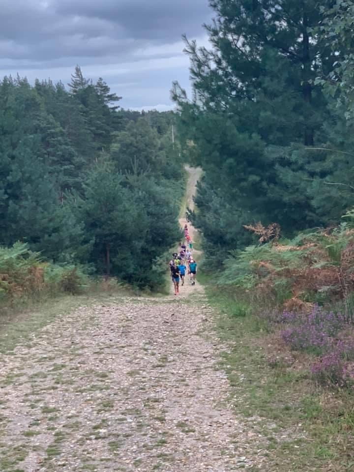 BFR Newsletter 25.08.20