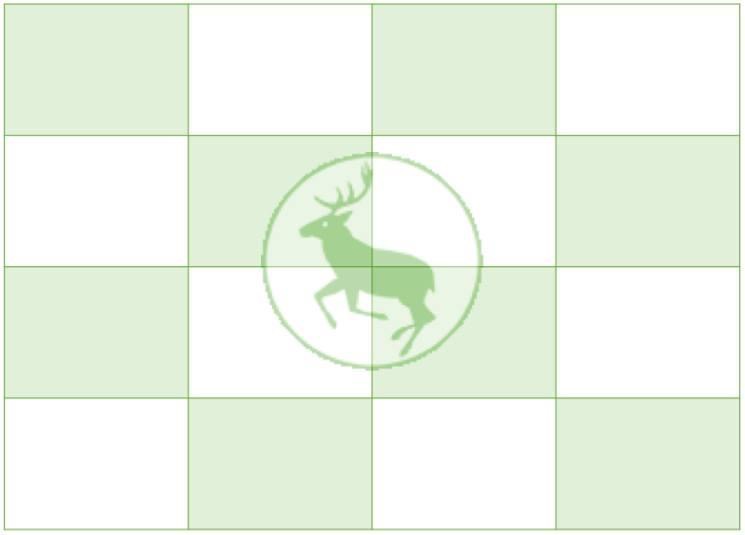 BFR Newsletter 4.08.20