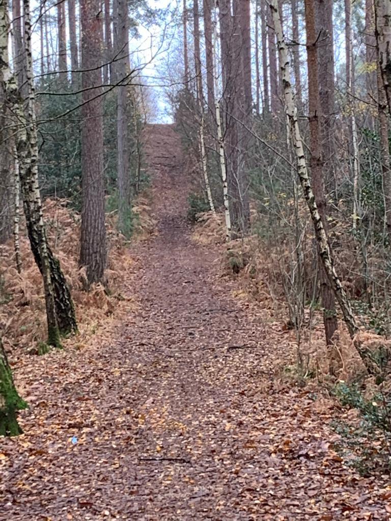 BFR Newsletter 1.12.20