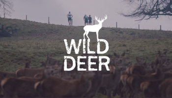 Why We Do Things Differently: The Wild Deer Events Story