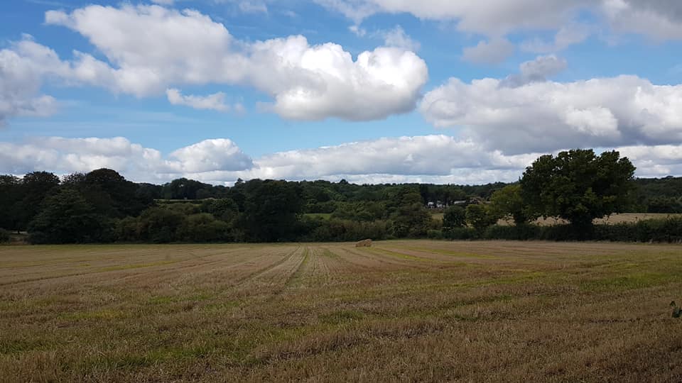 Dorking Explorers - Monday 7.30pm