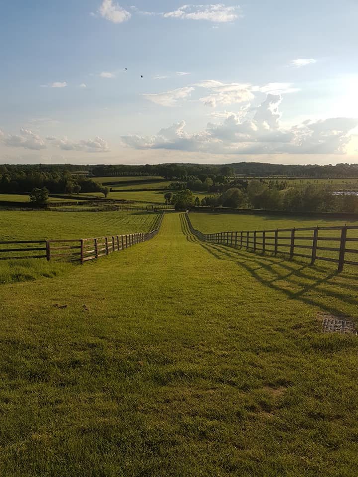 Bookham #runandtalk ( long and short loop) - Monday 9.15am