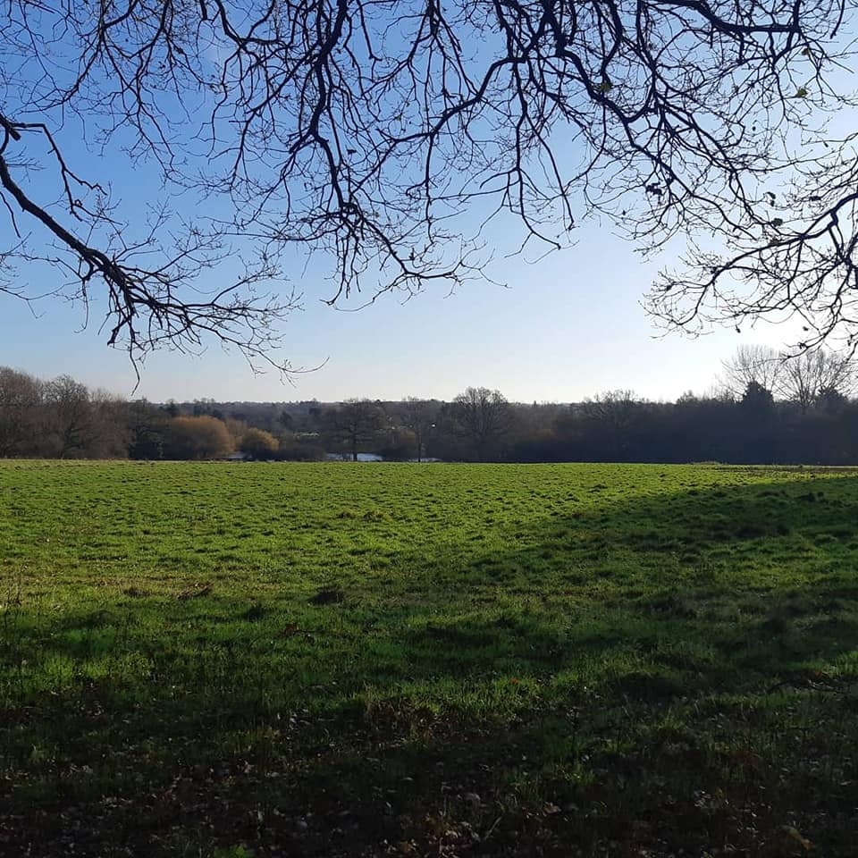 Effingham Plodders (run/walk) - Thursday 9.15am