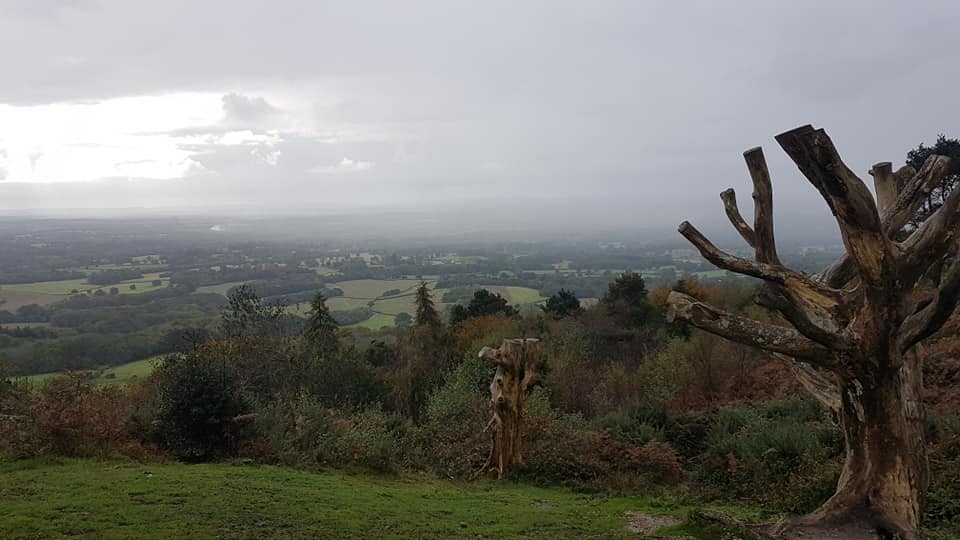 Wotton Hatch Pub Lunch Run - Wednesday 12.30pm