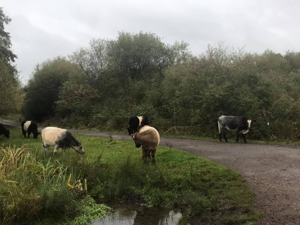 Bookham #runandtalk (short loop) - Tuesday 7.10pm