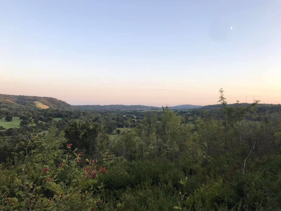 Effingham #runandtalk (short loop) - Thursday 9.15am