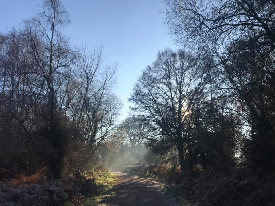 Monday Morning (three groups) - 9.15am