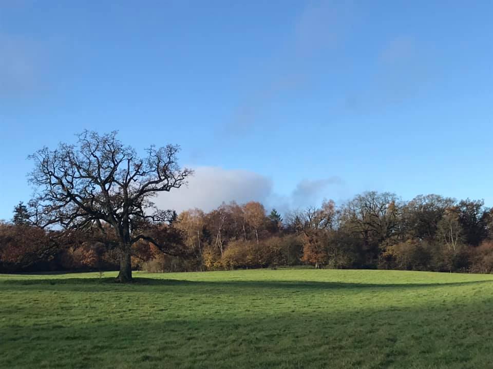 Wednesday Morning (Walking Group) - Fortnightly 9.15am