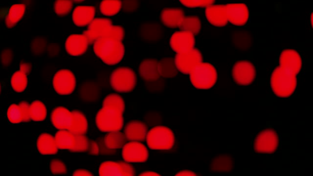 Christmas Dinner - Hillingdon Triathletes