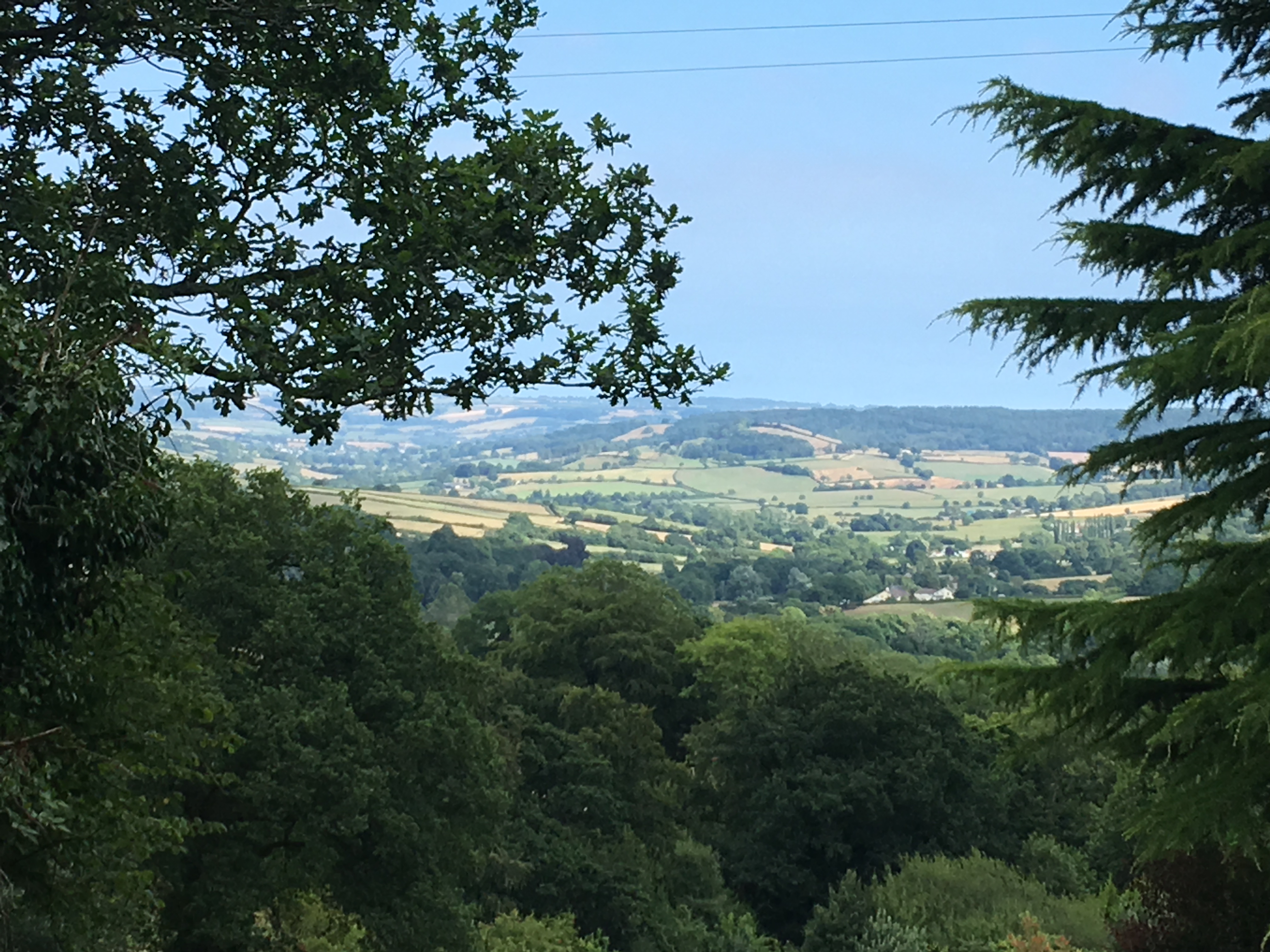 East Devon Round 2021